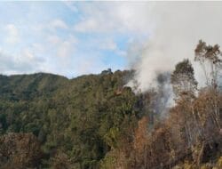 Karhutla dan Cuaca Ekstrem Warnai Akhir Juli, BNPB Tingkatkan Kesiapsiagaan Nasional